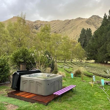 Tokarahi Danseys Pass Lavender Farmヴィラ エクステリア 写真